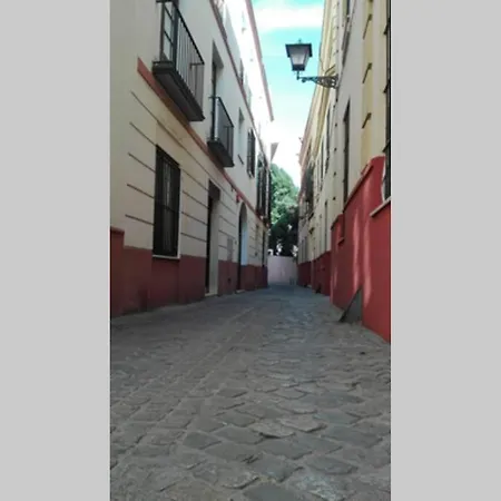 Cozy And Well Located In The Center Of Seville
